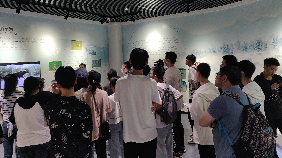 3ee62f1b83472eeaad5a94b62d2c4502.jpg 博物馆_副本.jpg
